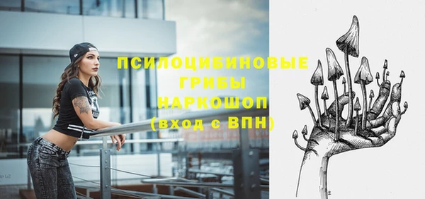 дмт Баксан
