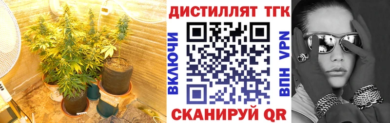 ТГК гашишное масло Белинский
